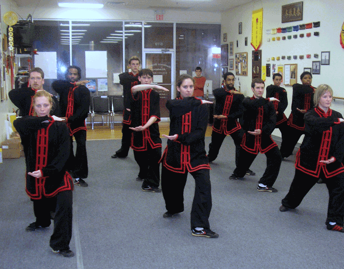 Tien Shan Pai Beginner Sets